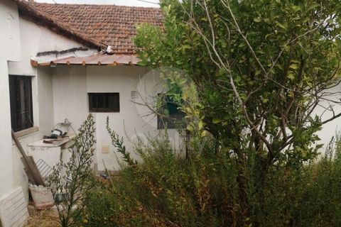 Villa a Alcanena, Santarem, Alcanena - € 189.000 | Ref: QRPP2315 - foto 26