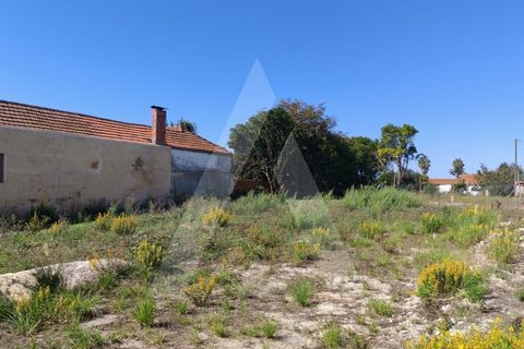 Helårsgrund i Aveiro, Aveiro, Aveiro - € 120.000 | Ref: 1012353/25 GL - foto 3