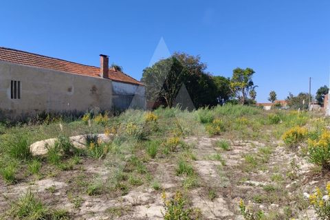 Helårsgrund i Aveiro, Aveiro, Aveiro - € 120.000 | Ref: 1012353/25 GL - foto 6