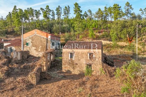 Landejendom i Macao, Santarem, Macao - € 69.500 | Ref: FG805 - foto 5