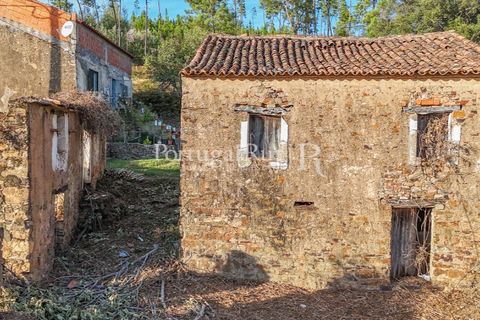 Landejendom i Macao, Santarem, Macao - € 69.500 | Ref: FG805 - foto 7