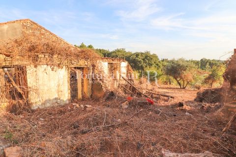 Landejendom i Macao, Santarem, Macao - € 69.500 | Ref: FG805 - foto 8