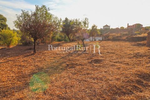 Landejendom i Macao, Santarem, Macao - € 69.500 | Ref: FG805 - foto 13