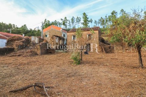 Landejendom i Macao, Santarem, Macao - € 69.500 | Ref: FG805 - foto 17