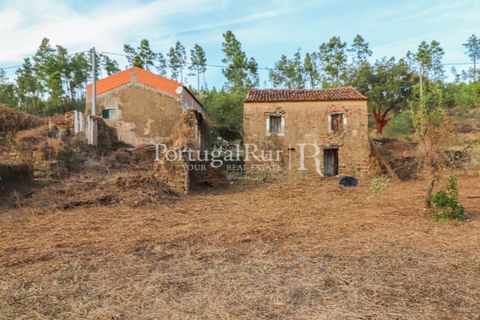 Landejendom i Macao, Santarem, Macao - € 69.500 | Ref: FG805 - foto 18