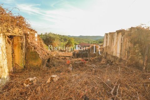 Landejendom i Macao, Santarem, Macao - € 69.500 | Ref: FG805 - foto 23