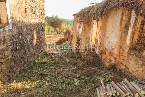 Landejendom i Macao, Santarem, Macao - € 69.500 | Ref: FG805 - foto 24