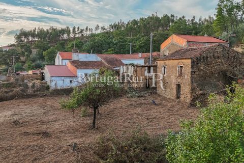 Landejendom i Macao, Santarem, Macao - € 69.500 | Ref: FG805 - foto 31