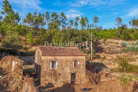 Landejendom i Macao, Santarem, Macao - € 69.500 | Ref: FG805 - foto 33