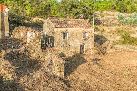 Landejendom i Macao, Santarem, Macao - € 69.500 | Ref: FG805 - foto 34