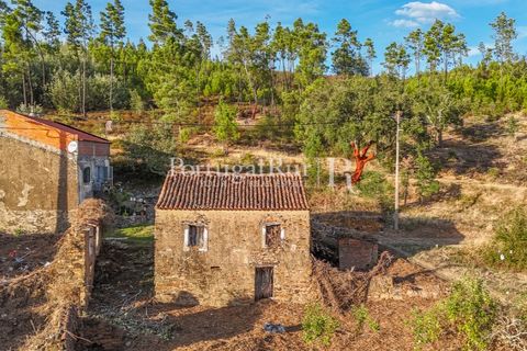 Landejendom i Macao, Santarem, Macao - € 69.500 | Ref: FG805 - foto 36