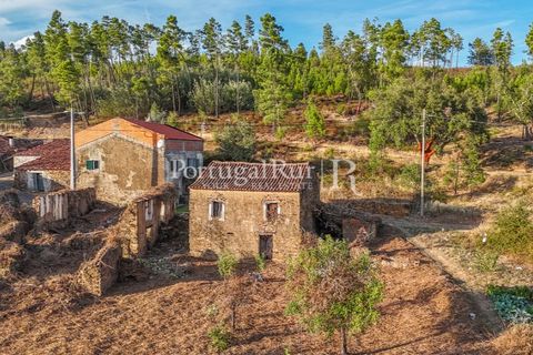 Landejendom i Macao, Santarem, Macao - € 69.500 | Ref: FG805 - foto 38