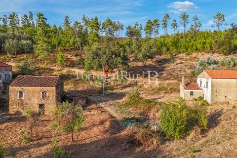 Landejendom i Macao, Santarem, Macao - € 69.500 | Ref: FG805 - foto 39