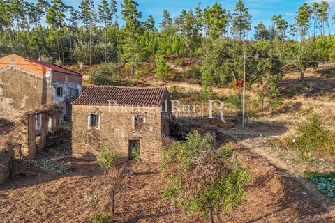 Landejendom i Macao, Santarem, Macao - € 69.500 | Ref: FG805 - foto 41