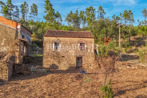 Landejendom i Macao, Santarem, Macao - € 69.500 | Ref: FG805 - foto 44