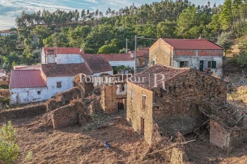 Landejendom i Macao, Santarem, Macao - € 69.500 | Ref: FG805 - foto 45