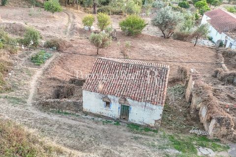 Landejendom i Macao, Santarem, Macao - € 69.500 | Ref: FG805 - foto 48