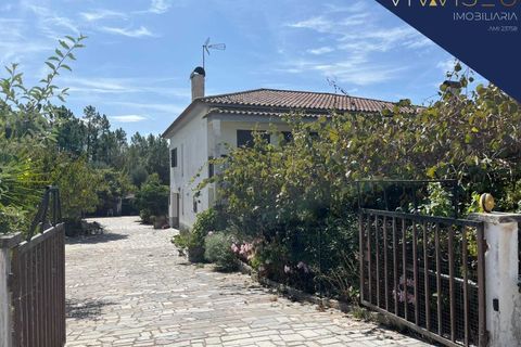 Villa a Nelas, Viseu, Nelas - € 230.000 | Ref: HAB_105 - foto 5