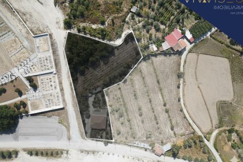 Villa a Nelas, Viseu, Nelas - € 230.000 | Ref: HAB_105 - foto 3