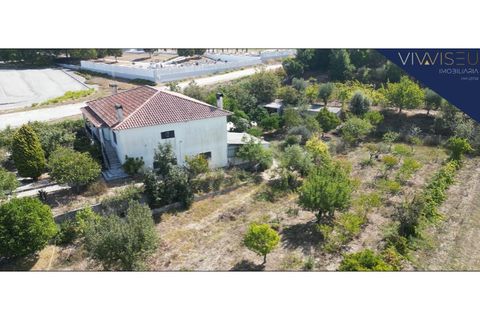 Villa a Nelas, Viseu, Nelas - € 230.000 | Ref: HAB_105 - foto 2