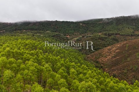 Helårsgrund i Nisa, Portalegre, Nisa - € 290.000 | Ref: JF305 - foto 6