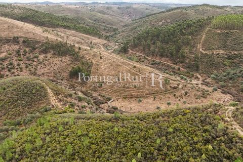 Helårsgrund i Nisa, Portalegre, Nisa - € 290.000 | Ref: JF305 - foto 9