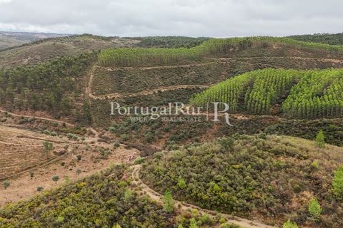 Helårsgrund i Nisa, Portalegre, Nisa - € 290.000 | Ref: JF305 - foto 10