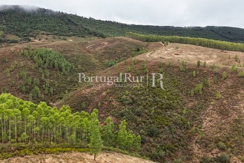 Helårsgrund i Nisa, Portalegre, Nisa - € 290.000 | Ref: JF305 - foto 12