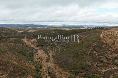 Helårsgrund i Nisa, Portalegre, Nisa - € 290.000 | Ref: JF305 - foto 13