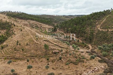 Helårsgrund i Nisa, Portalegre, Nisa - € 290.000 | Ref: JF305 - foto 16