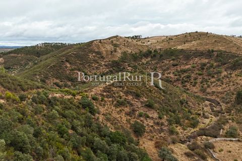 Helårsgrund i Nisa, Portalegre, Nisa - € 290.000 | Ref: JF305 - foto 17
