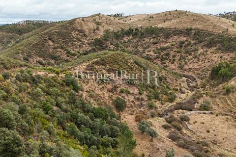 Helårsgrund i Nisa, Portalegre, Nisa - € 290.000 | Ref: JF305 - foto 18