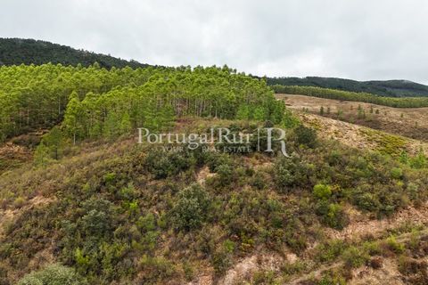 Helårsgrund i Nisa, Portalegre, Nisa - € 290.000 | Ref: JF305 - foto 21