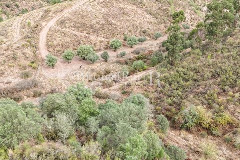 Helårsgrund i Nisa, Portalegre, Nisa - € 290.000 | Ref: JF305 - foto 26