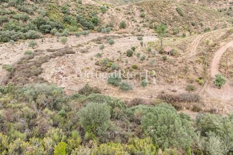 Helårsgrund i Nisa, Portalegre, Nisa - € 290.000 | Ref: JF305 - foto 27
