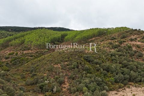 Helårsgrund i Nisa, Portalegre, Nisa - € 290.000 | Ref: JF305 - foto 28