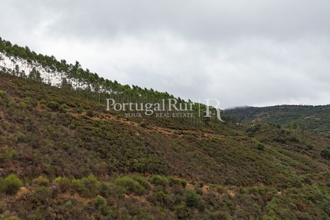 Helårsgrund i Nisa, Portalegre, Nisa - € 290.000 | Ref: JF305 - foto 34