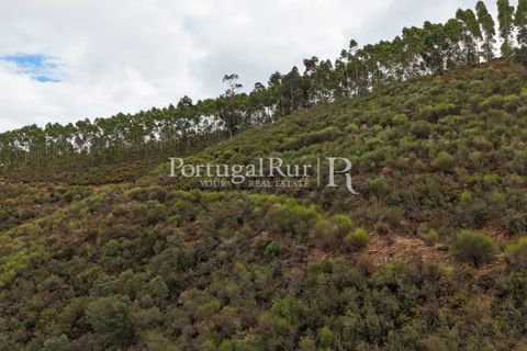Helårsgrund i Nisa, Portalegre, Nisa - € 290.000 | Ref: JF305 - foto 35