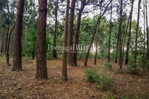 Helårsgrund i Rogil, Faro, Rogil - € 95.000 | Ref: PM402 - foto 1