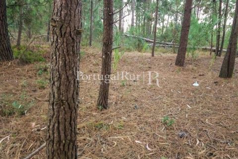 Helårsgrund i Rogil, Faro, Rogil - € 95.000 | Ref: PM402 - foto 2
