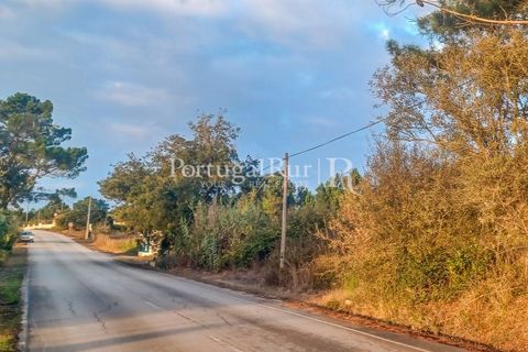 Helårsgrund i Rogil, Faro, Rogil - € 95.000 | Ref: PM402 - foto 4