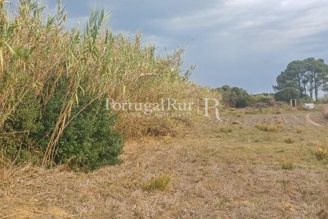Helårsgrund i Rogil, Faro, Rogil - € 95.000 | Ref: PM402 - foto 7