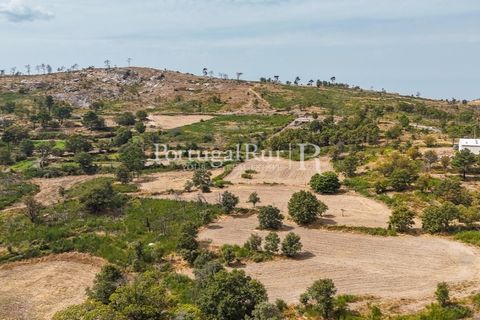 Landejendom i Guarda, Guarda, Guarda - € 875.000 | Ref: FG750 - foto 4