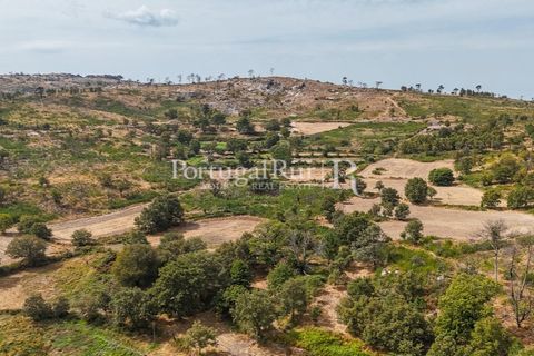 Landejendom i Guarda, Guarda, Guarda - € 875.000 | Ref: FG750 - foto 5