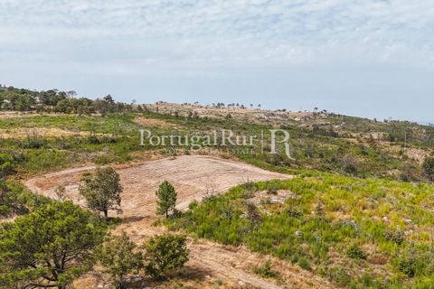 Landejendom i Guarda, Guarda, Guarda - € 875.000 | Ref: FG750 - foto 6