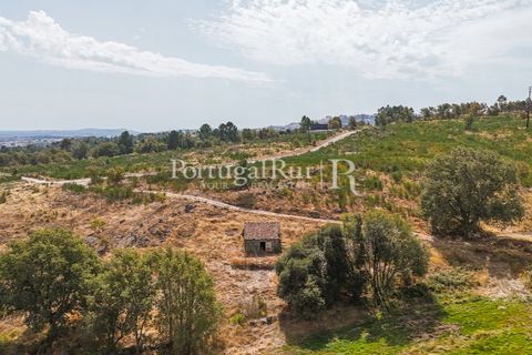 Landejendom i Guarda, Guarda, Guarda - € 875.000 | Ref: FG750 - foto 10