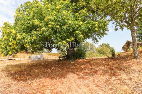 Landejendom i Guarda, Guarda, Guarda - € 875.000 | Ref: FG750 - foto 30