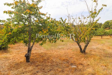 Landejendom i Guarda, Guarda, Guarda - € 875.000 | Ref: FG750 - foto 32