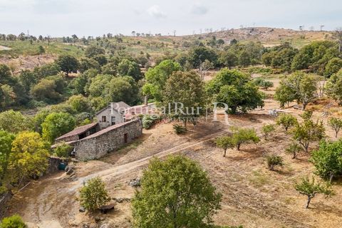 Landejendom i Guarda, Guarda, Guarda - € 875.000 | Ref: FG750 - foto 34