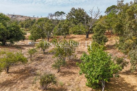Landejendom i Guarda, Guarda, Guarda - € 875.000 | Ref: FG750 - foto 35